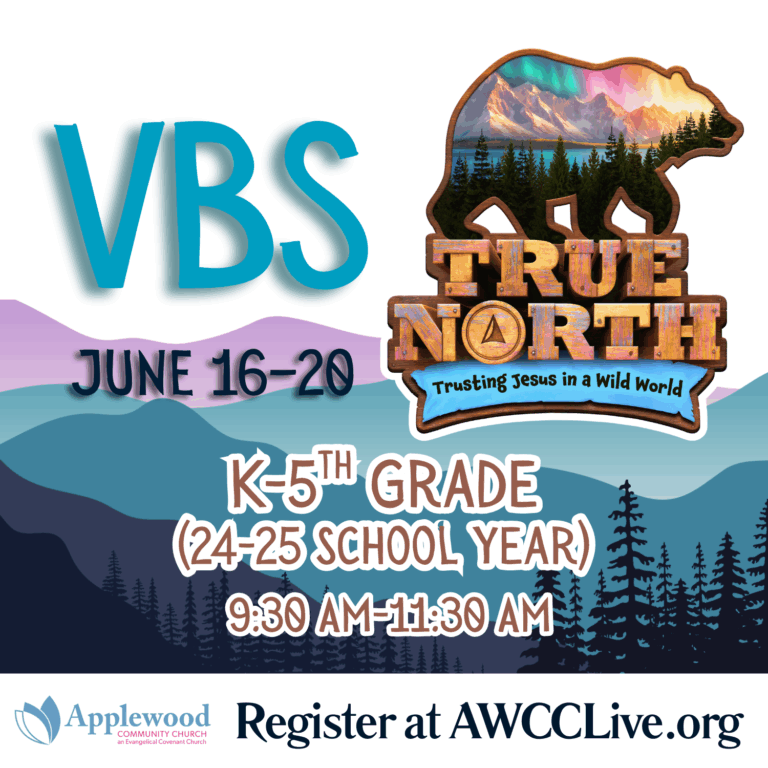 VBS 2025